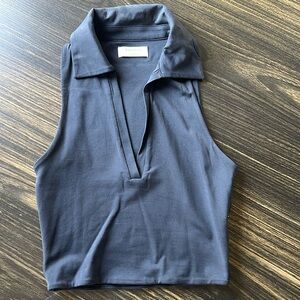 Aritzia Babaton V-Neck Collared Shirt